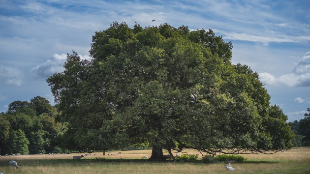 006 Lartington-Hall-Photographer-Stan-Seaton-Photography.jpg