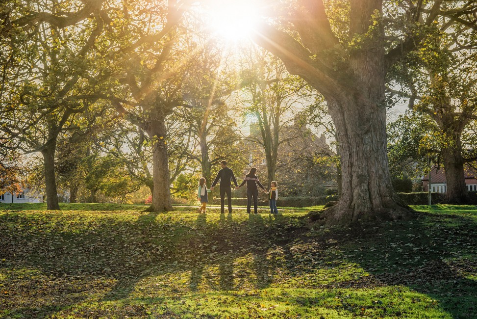 057.JPG Family Photography Shoot Autumn sunshine